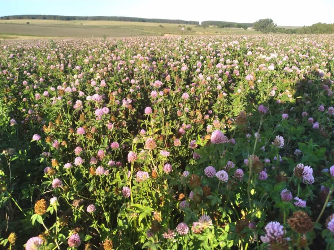 Germinar tweet media