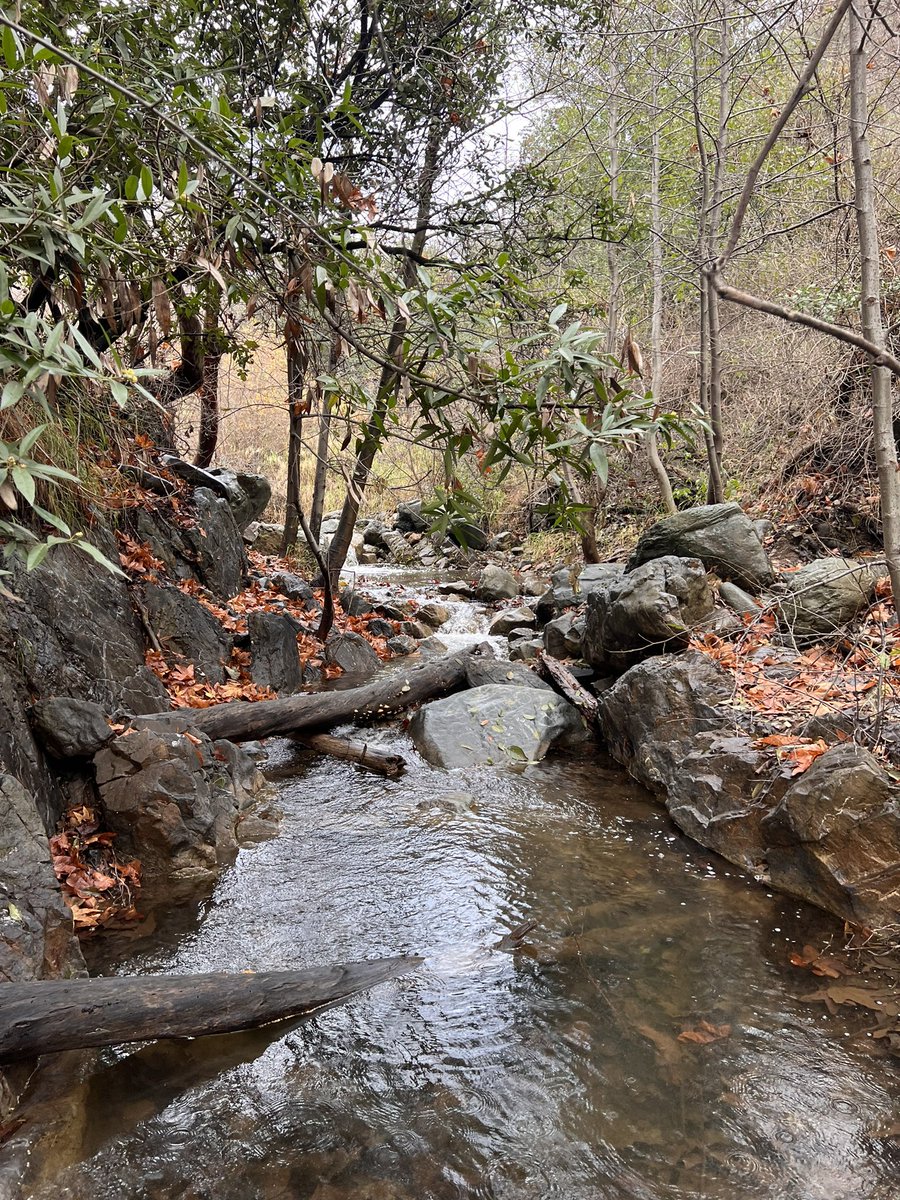 CryptoCigars tweet media