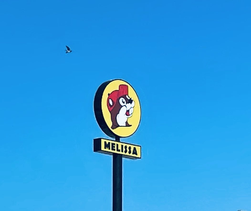 Melissa M. Blessing tweet media