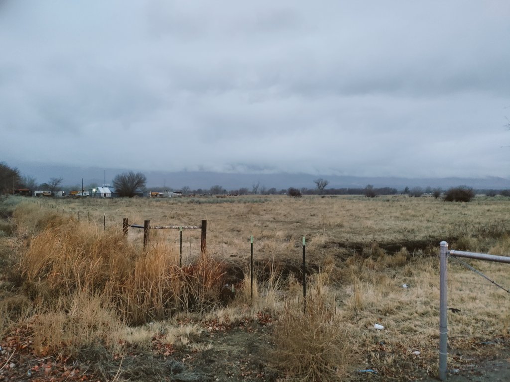 John Symons tweet media