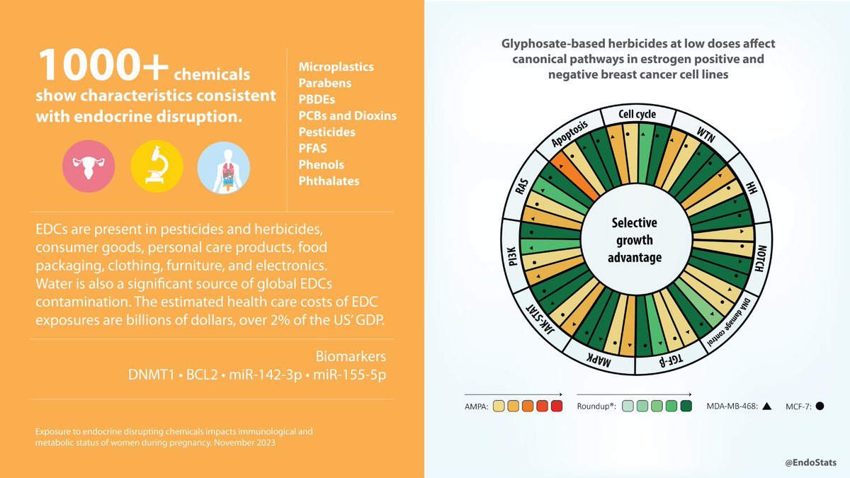 EDCs are present in pesticides and herbicides, consumer goods, personal care products, food packaging, clothing, furniture, and electronics. Water is also a significant source. Healthcare costs of EDC exposures are billions of dollars.
sciencedirect.com/science/articl…