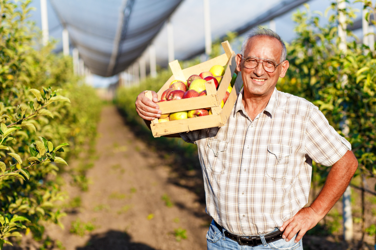 senorics's tweet photo. Senorics’ sensor offers new #opportunities to many industries. Take a look our latest article to find out how it can enable better recycling processes, provide effective #solutions for the agricultural industry, and ensure healthier food for everyone 🌱

https://t.co/1LKWKT4K03 https://t.co/6jpVxf2ZTZ