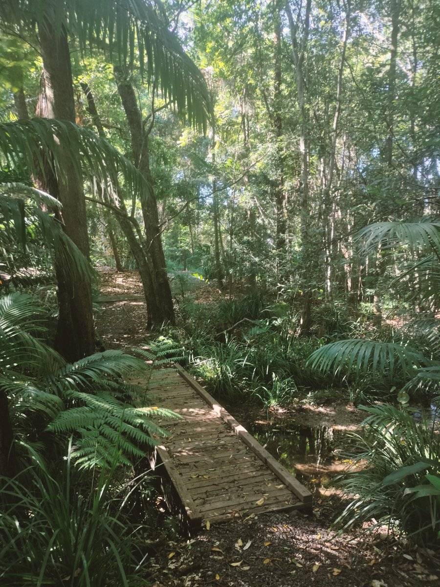 Lukewarmluffy's tweet image. Hi! Which one? This ones? 

Woombye brother 

The FourFive
 
Any more information you are after?

Where are you from 📷📸🖼️🤳🏽😁🫡❤️💛💖👍🏽💫🇵🇸🤟🏽
#fourfive