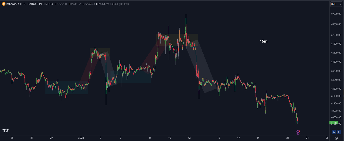 DoopieCash® tweet media