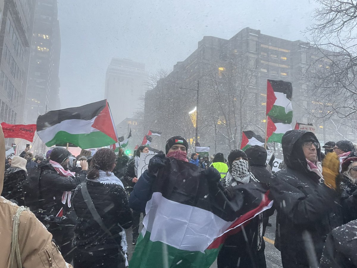 ♡Red♡🇵🇸 tweet media