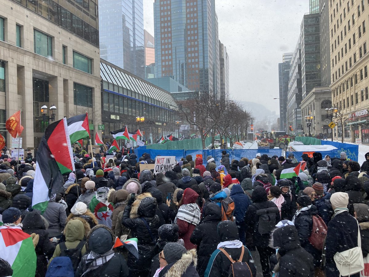 ♡Red♡🇵🇸 tweet media