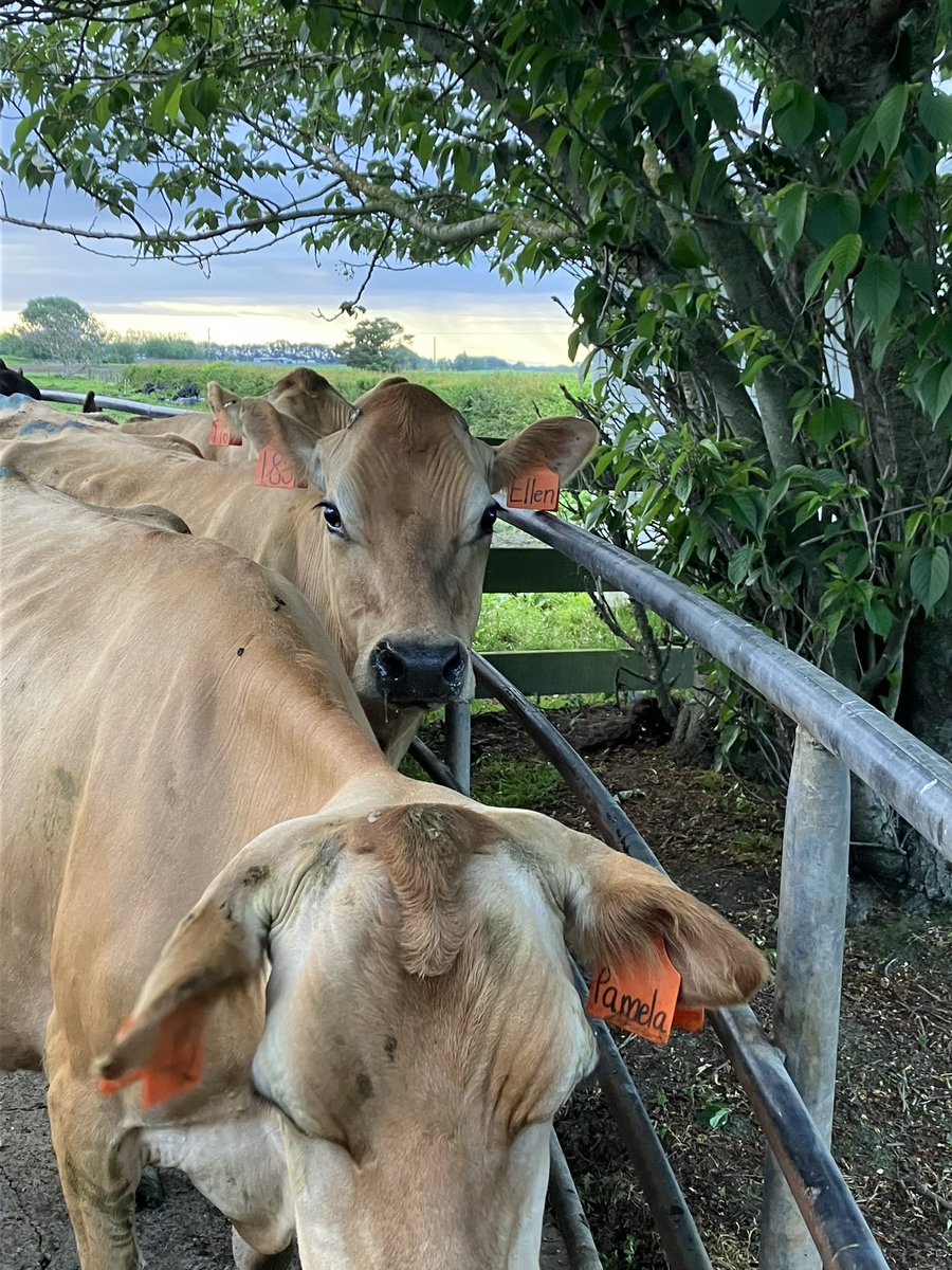 Top 50% farmer tweet media