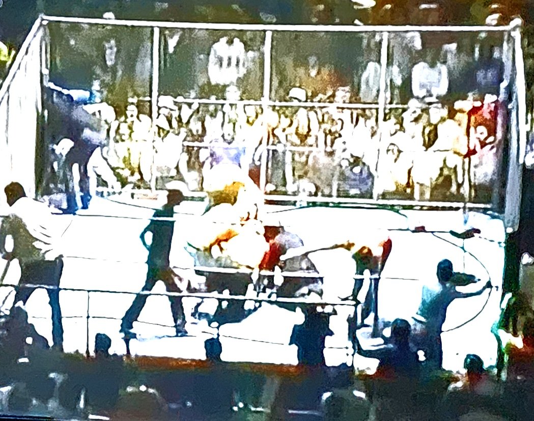 Watching old NWA where #RicFlair took on the Russians in a cage at the Omni.  #DustyRhodes makes save, then the #Horseman attacks & breaks Dusty's ankle.  It was so #kayfabe they took the cage and ropes apart to get Dusty out of the ring! #OldSchoolWrestling #NWA #FourHorseman