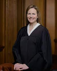 trumpBlewIran's tweet photo. If you feel Amy Cone Barrett and John Roberts betrayed the country today?  

YES or NO?

If you do, I want to follow you back. https://t.co/KZ5sJAQDQi
