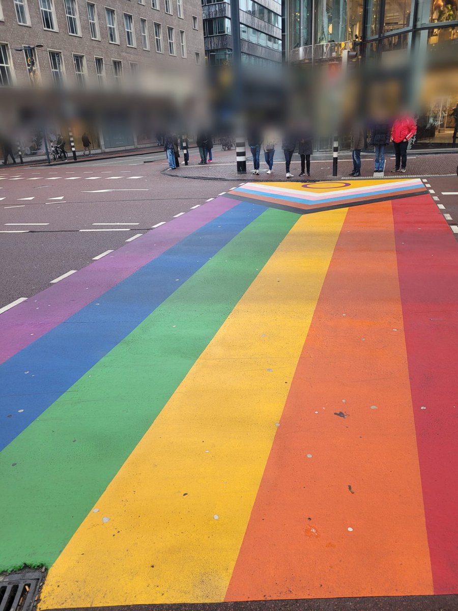 Queer_Mind's tweet photo. Wie o wie helpt ons met info? Hoe lukt het @Utrecht dan wel? een progress vlag ... @GemeenteDenHaag stad van  #Mensenrechten #regenboogstad @marielle_vavier #regenboogzebrapad  #queerzichtbaarheid https://t.co/dn3ugdaAN4