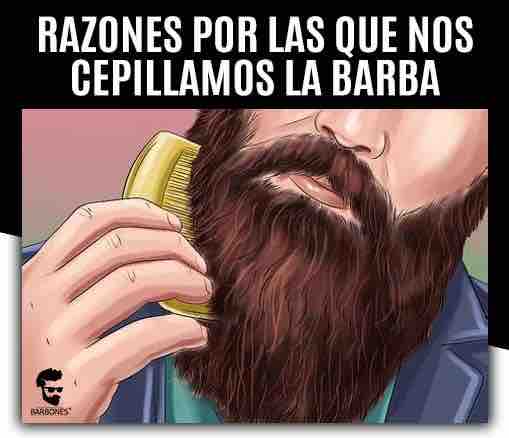 Cuentéenos, hermanos!

#BarbonesMX #beardman #barbon #barba #Barbones #somosbarbones #bearded #beardlove #beard #beards #beardguy #beardsman #beardup #WeNeverGoOutOfBeard #NuncaTerminaLaBarba #vollbart #bart