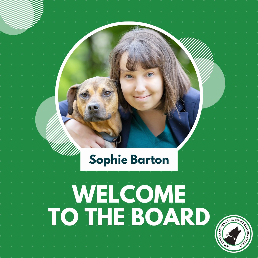 NGSingingDogCS's tweet photo. Welcoming our new Board Member, Sophie Barton.

Sophie is a PhD Candidate in the Hecht Lab at Harvard University. She studies brain evolution in New Guinea Singing Dogs, primitive dogs, working dogs, and other canids.

Read more here: https://t.co/nOwJkgiSxB https://t.co/PIDcfK6twy