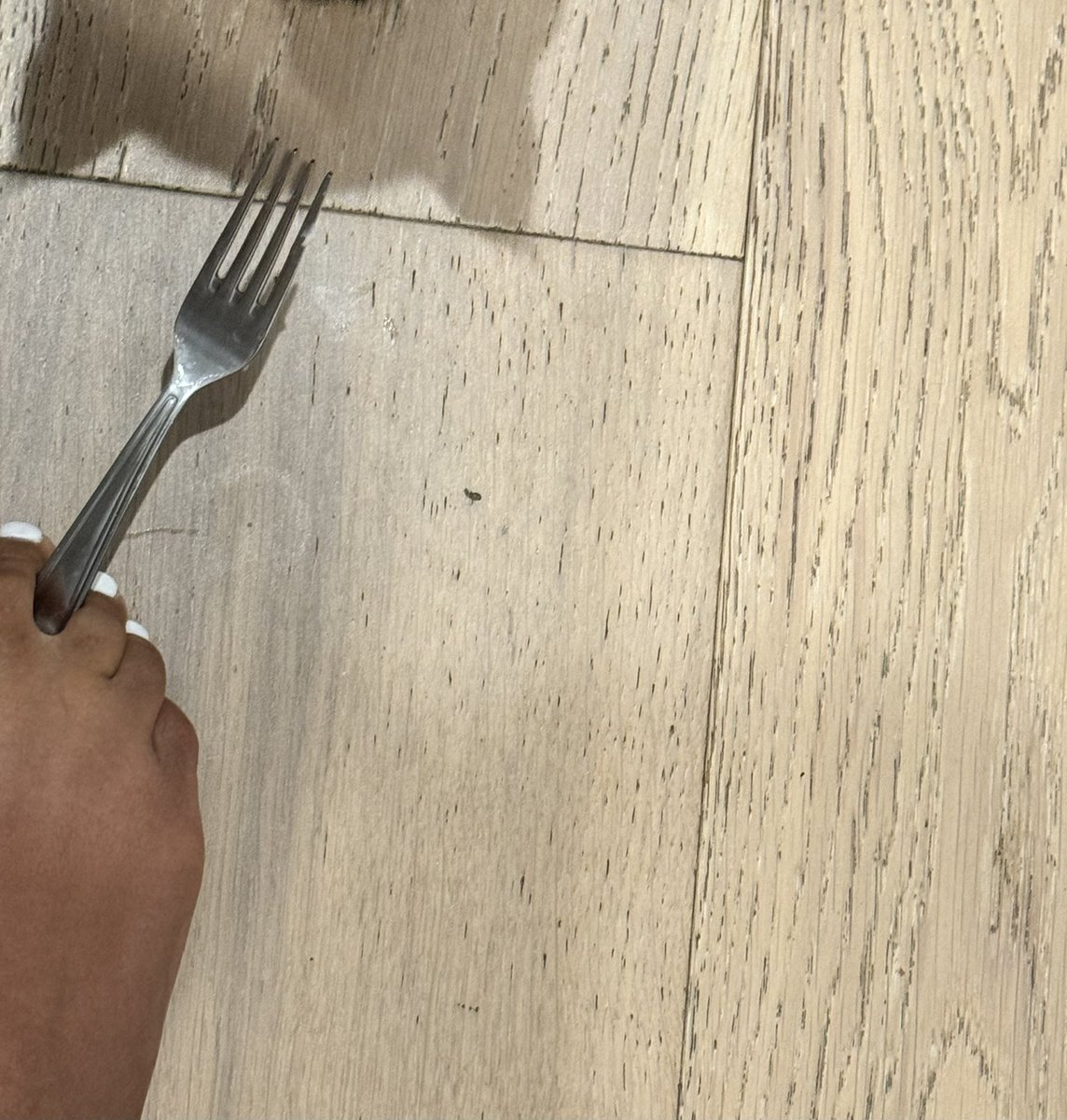 Kalani rodgers tweet media