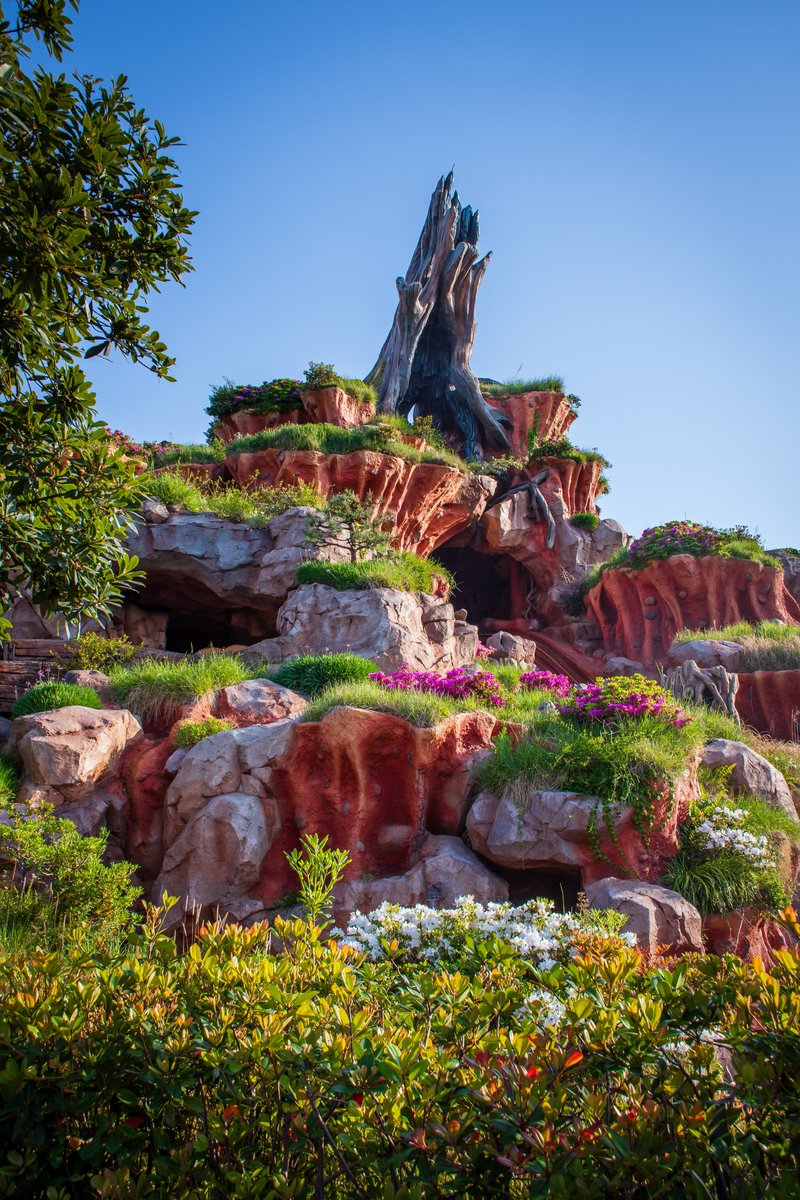 thehappyzan's tweet photo. Splash Mountain, Tokyo Disneyland https://t.co/yQw7vMPcBU