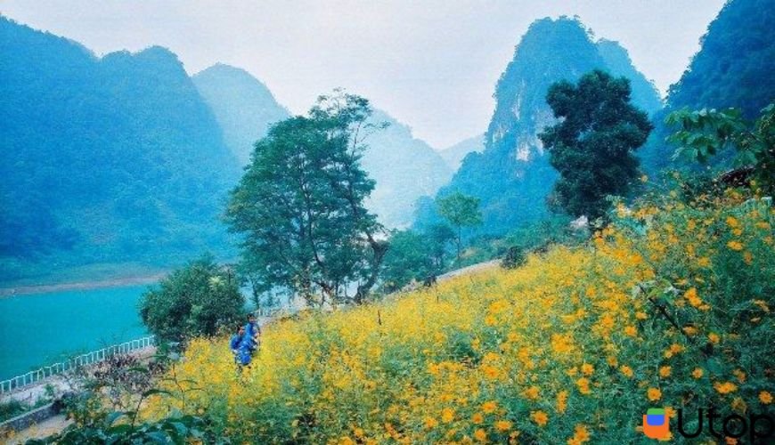 Thangnguyen.hp tweet media