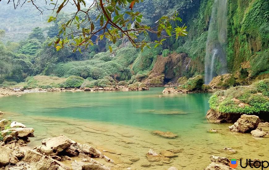 Thangnguyen.hp tweet media