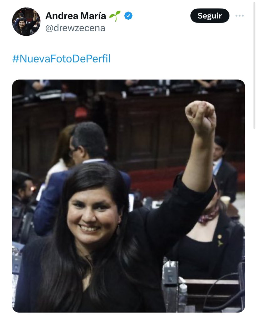 ElHeiter777's tweet photo. Diputadas: en Argentina// en Guatemala https://t.co/bEOWzrssmN