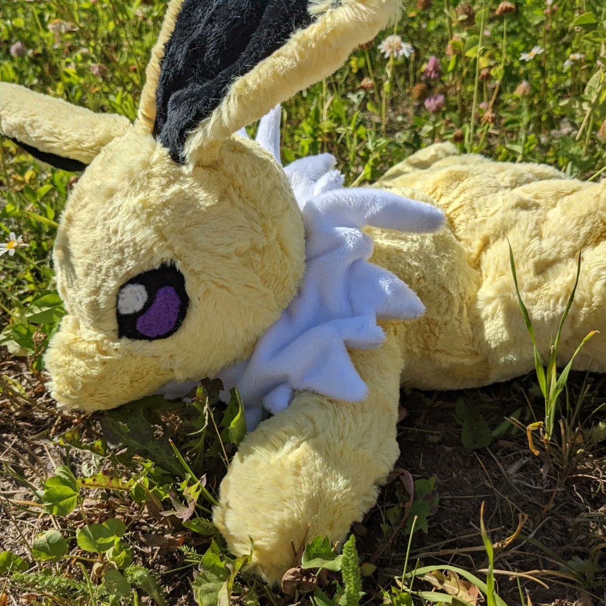 🌈Meadow Plushies ⭐✨ tweet media