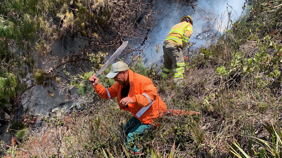 UNGRD's tweet photo. 🚒 2 incendios bajo control en Mogotes, Floridablanca- Piedecuesta en #Santander. Juntos, trabajemos por la seguridad de nuestro entorno. #ControlIncendios #UNGRD 🌿🛡 https://t.co/om5dzo30Dc