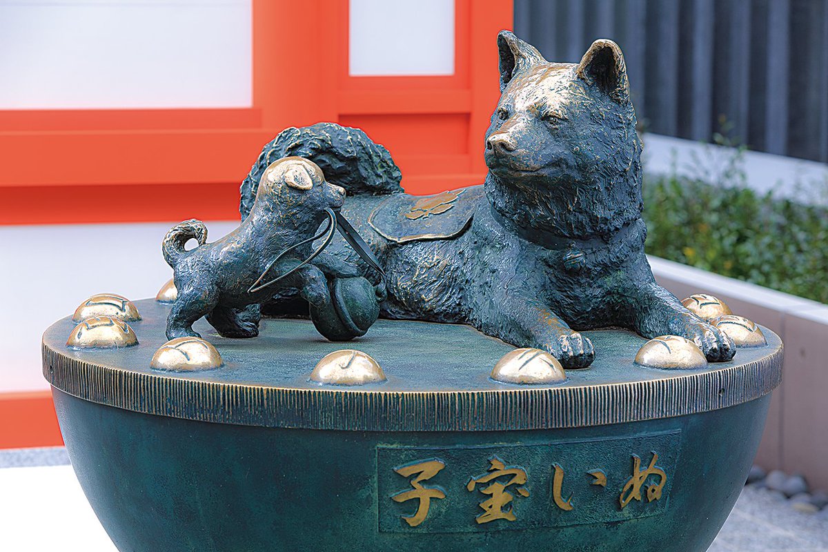 甲辰歳1月23日（火）戌の日】 ご祈祷受付：8時～15時15分 安産祈願はご