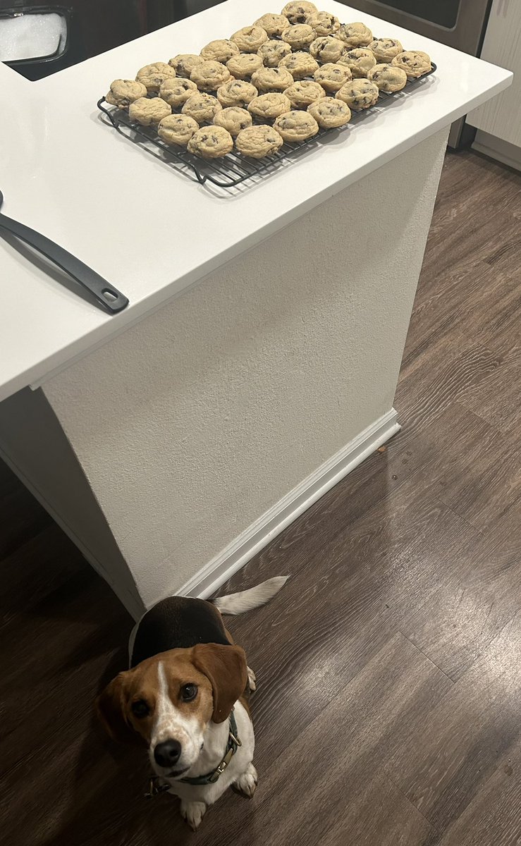 wx_anthony's tweet image. Days off call for a fresh batch of chocolate chip cookies! 
#cookies #chocolatechip #Cooking