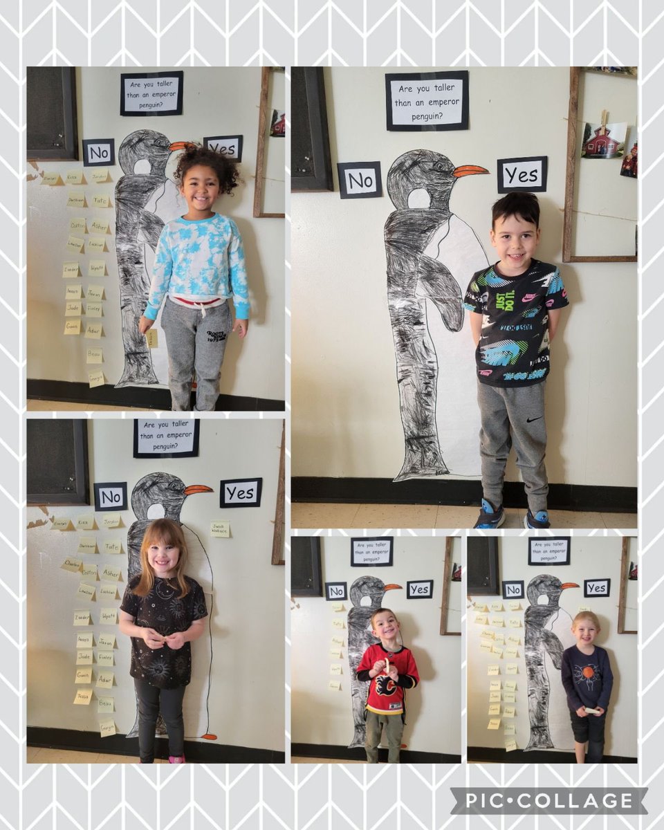 A trip to the library sparked a classwide interest in penguins! After a few days of reading, discussions and research, we discovered that Emperor penguins can grow as tall as 100 cm. This prompted us to compare our height to an emperor penguin’s height.🐧