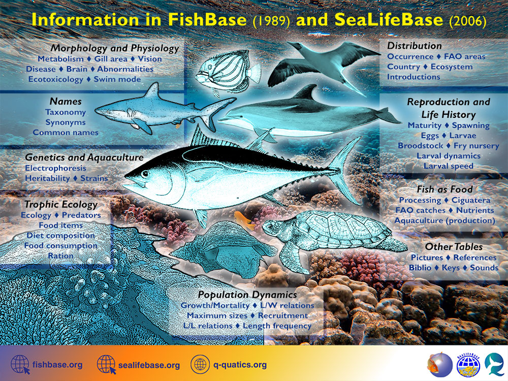 FishBaseProject's tweet photo. To date, https://t.co/pFFvX4Ibf1 provides biological and ecological information on more than 35,400 species! #goodreviews #positivefeedback #supportfishbase: https://t.co/EqjqsBkAWP. https://t.co/pLLpDxKika