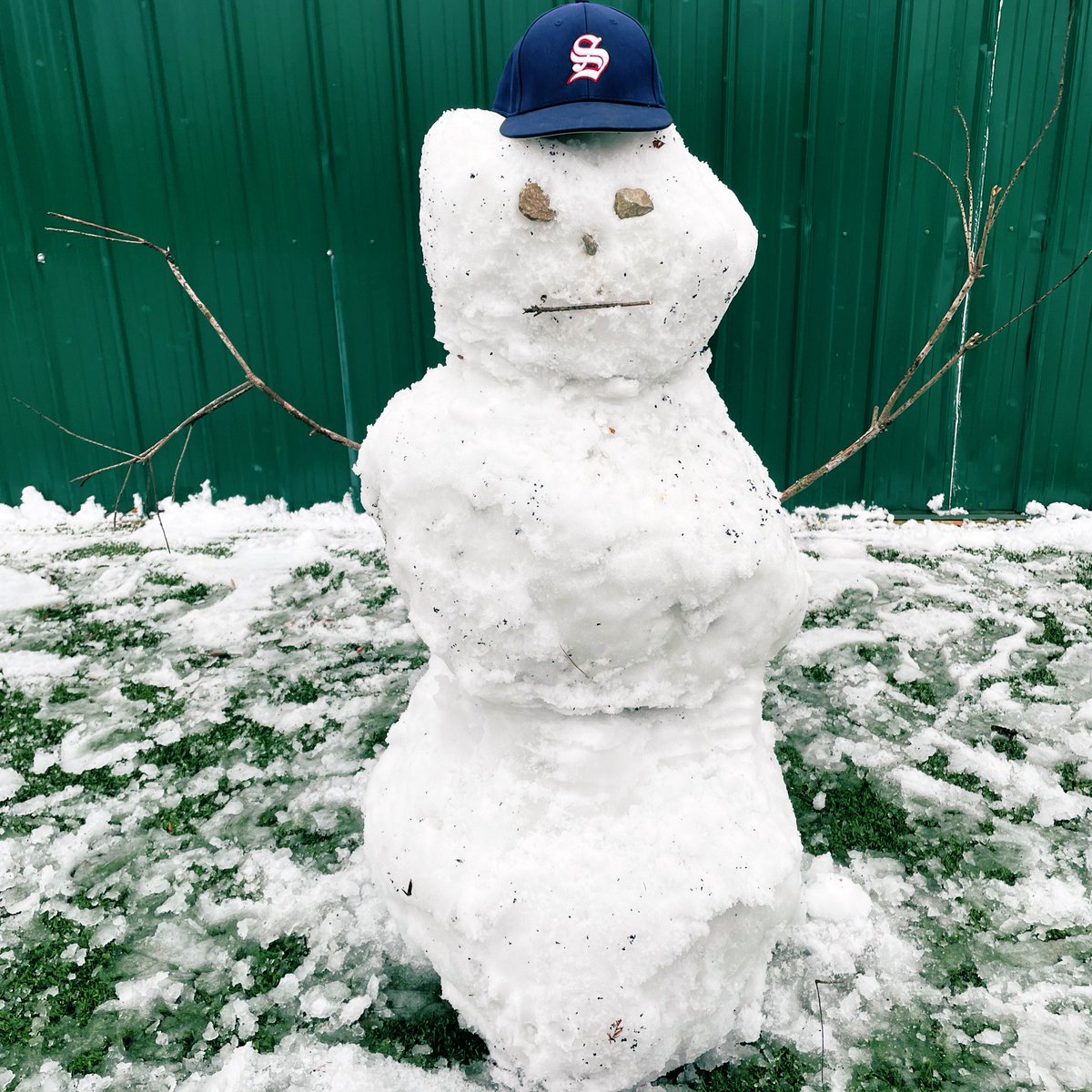 Southwest Tennessee Baseball tweet media