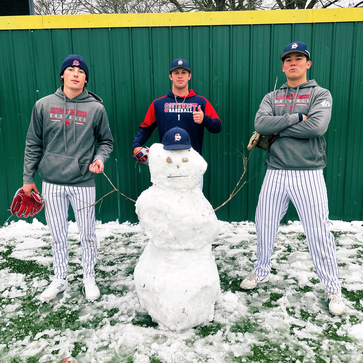 Southwest Tennessee Baseball tweet media