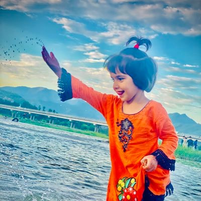 little bird tweet media