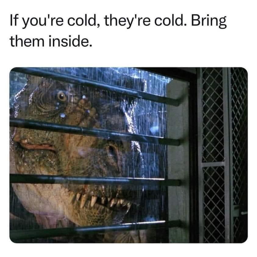 The Houston Museum of Natural Science ❤️🦖🧠🌌 (@hmns) on Twitter photo 