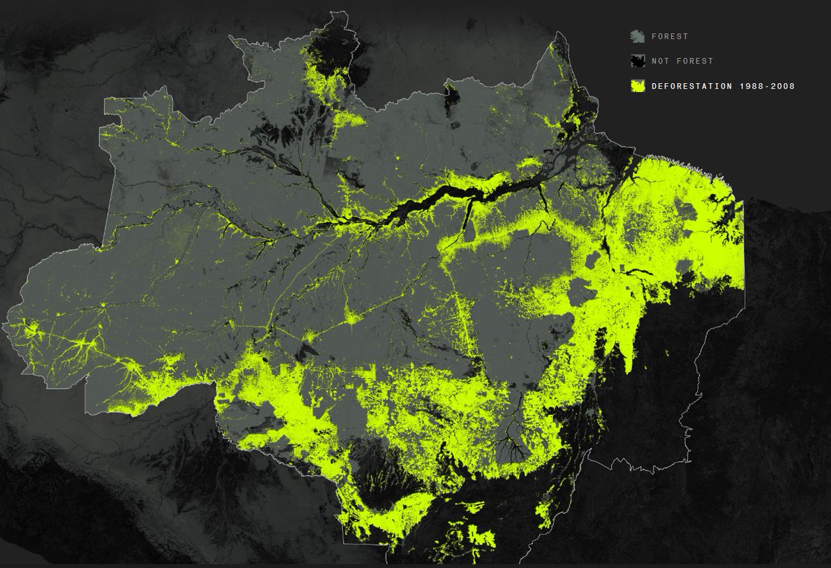 freshjiva's tweet image. I know most of you don't want to know this, but Amazon deforestation is directly tied to the beef industry, and JBS in particular - the largest meatpacker in the world.

The demise of the Amazon rainforest is overwhelmingly thanks to this destructive industry.

Cheer on $TSLA and…