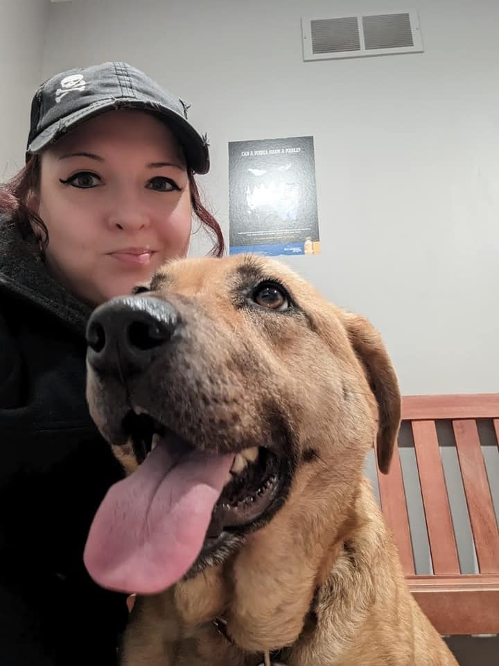MIAnimalAdopt's tweet photo. Dog needs an emergency foster! She's an absolute lover, but sadly is heartworm+. We will cover the cost of her food &amp; vet expenses, but need the right home to take her in NOW. She is around 8 yrs old &amp; has lived most of her life on a chain. Contact miaan@att.net. #MetroDetroit https://t.co/zF5KQjFbqG