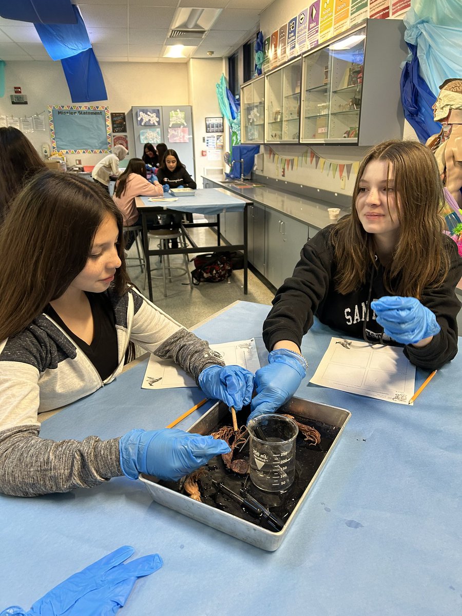 AshleyMBSD's tweet image. Day 1 of 6th grade GATE Camp was a success! Mrs. Lopez and Mrs. Mendez transformed the classroom into an aquarium, where students had the opportunity to be curious about various sea creatures. Stay tuned to see what they get to create this week! 🤩 #bsdGATE