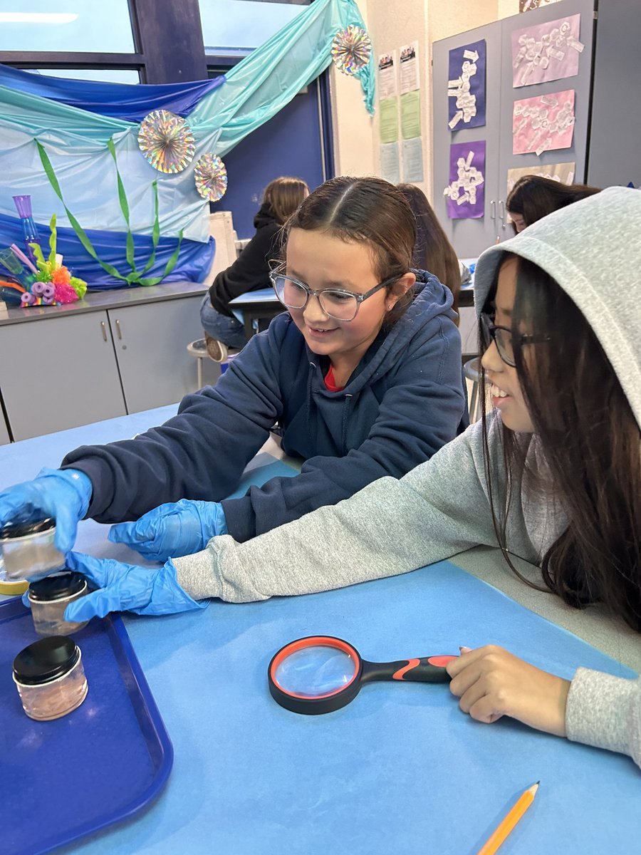 AshleyMBSD's tweet image. Day 1 of 6th grade GATE Camp was a success! Mrs. Lopez and Mrs. Mendez transformed the classroom into an aquarium, where students had the opportunity to be curious about various sea creatures. Stay tuned to see what they get to create this week! 🤩 #bsdGATE