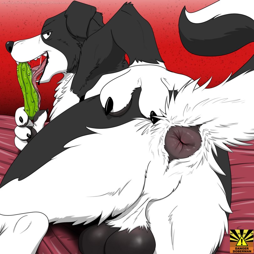 Mr. Pickles tweet media
