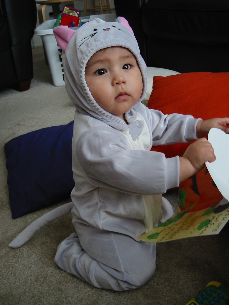 genzo.eth tweet media