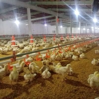 MariaTheresa tweet media