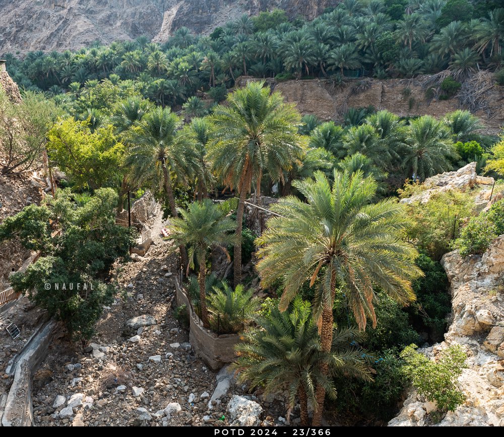 mqnaufal's tweet photo. Wadi Shees (Shees Valley)
Photo of The Day 2024 - 23/366 (23-Jan)
#PhotoOfTheDay #POTD #POTD2024 #Photography #January2024 #WadiShees #Shees #Valley #Sharjah #UAE #mountains #HajarMountains #Oasis #Tuesday #palmtrees #DatePalms #Farm #Green https://t.co/SwMNeFNI39