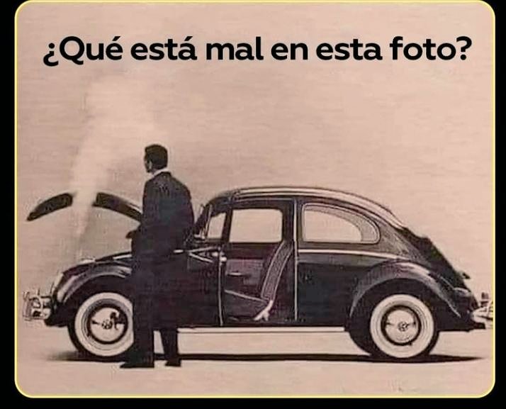 Suricato 💎 tweet media