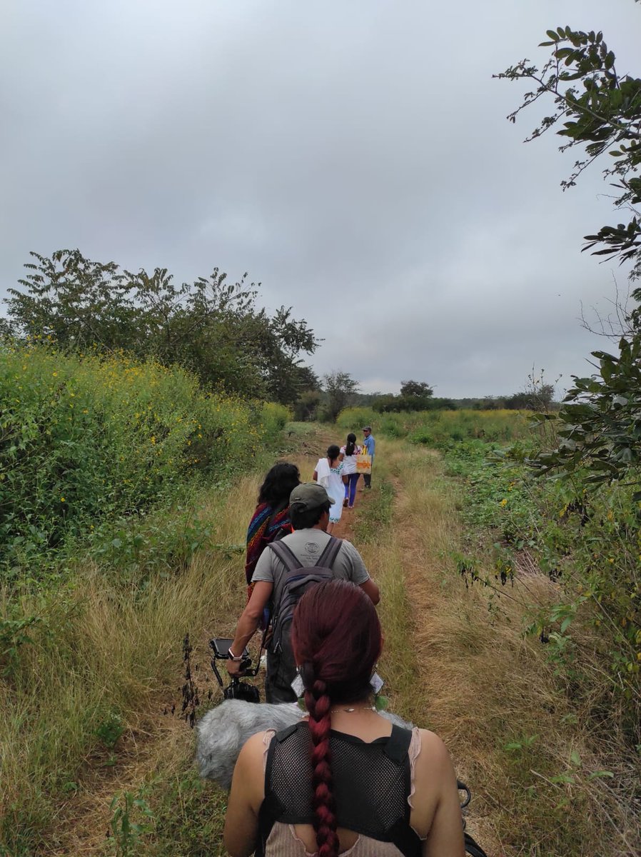 CSorg72's tweet photo. Hace unos días, tuvimos el gusto de visitar a María Adriana Cauich Puc, becaria de #CS por su proyecto sobre rescate de la medicina tradicional en la Región maya de los Chenes en Campeche, México. #KOEF #GuardianesDeLaTierra #DerechosIndígenas https://t.co/Y9Rx51U2Yt