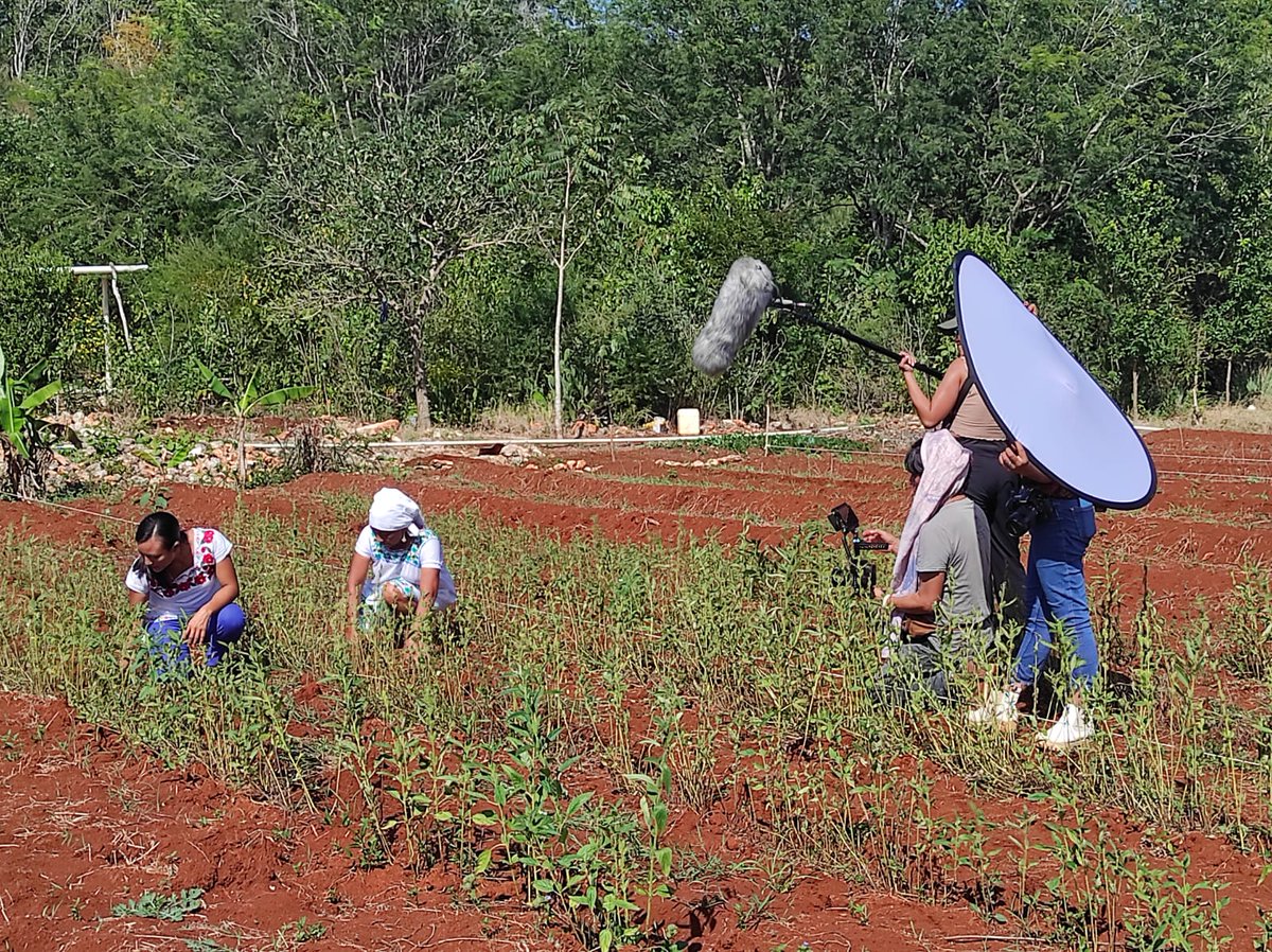 CSorg72's tweet photo. Hace unos días, tuvimos el gusto de visitar a María Adriana Cauich Puc, becaria de #CS por su proyecto sobre rescate de la medicina tradicional en la Región maya de los Chenes en Campeche, México. #KOEF #GuardianesDeLaTierra #DerechosIndígenas https://t.co/Y9Rx51U2Yt