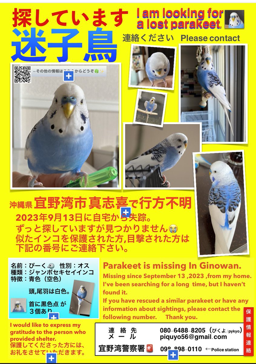 piquyo51's tweet photo. 【検査に反撃するインコさんがかわいい】#コザクラインコ #インコ #動物病院 #ramec #エキゾチックアニマル #愛玩動物看護師 #獣医 https://t.co/Ersvm2DWZC @YouTubeより
心和む動画です。ご覧あれ❗️
ちなみに,ぴーく🐦も病院の爪切りで反撃💢
#琉球動物医療センター #迷子インコ #拡散 https://t.co/SzPmi2wUAK