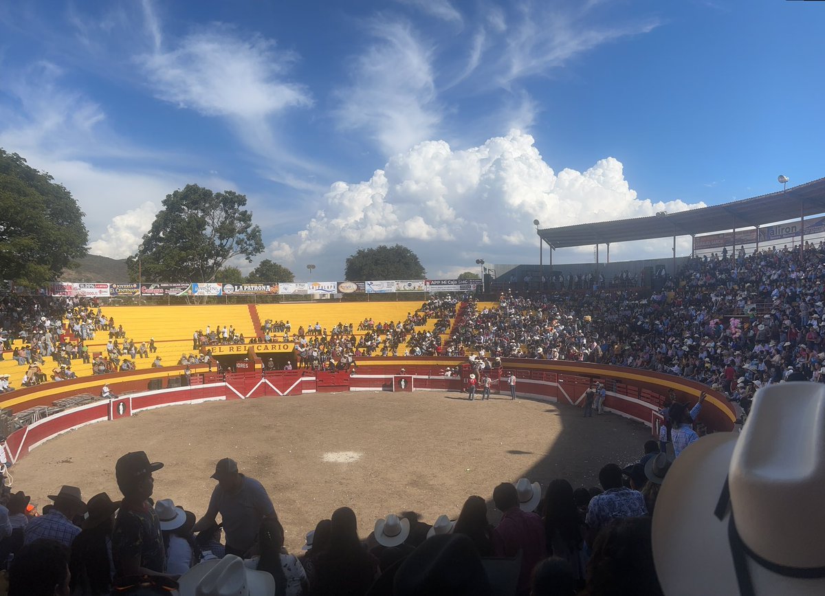 anaiiv78's tweet photo. JALISCO MÉXICO JAN 21 🐮🇲🇽 https://t.co/gLDbjRylhz