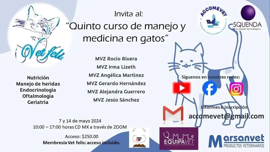 SQUENDA's tweet photo. 💻 Quinto curso de manejo y medicina en gatos
📆07 y 14 de mayo 2024 | ⏰ 10:00 hrs a 17:00 hrs
😉Organiza: #ACCOMEVET
📩 Informes e inscripciones: accomevet@gmail.com
#AlianzaSquenda #EventoVitual #MVZ https://t.co/td9YyB045L