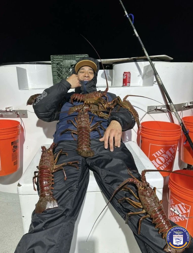 976tuna's tweet photo. Gail Force Good Times! Mon Jan 22, 2024 https://t.co/XT0Uj0sUhe #gailforce #lawaterfrontsportfishing #fish #fishing #fishingtrip #oceanfishing #socalfishing #fishingtrip #goodtimes #livebait #saltlife #saltwater #tasty #thetugisthedrug https://t.co/awrsWKBFju