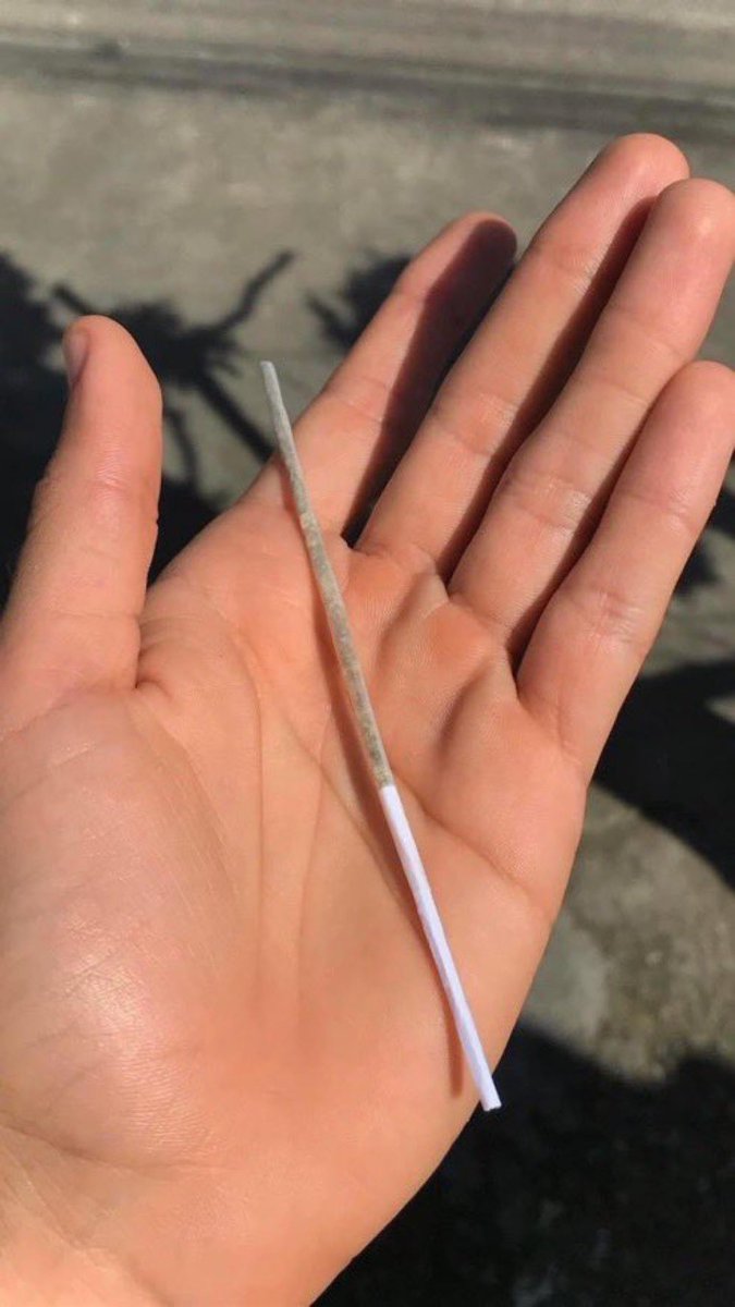 Segunda-feira dia 63 de janeiro

E nois tá como: