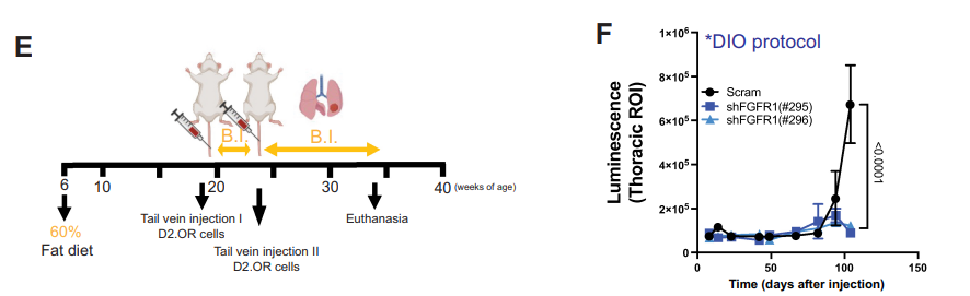 Molecular Cancer Research tweet media