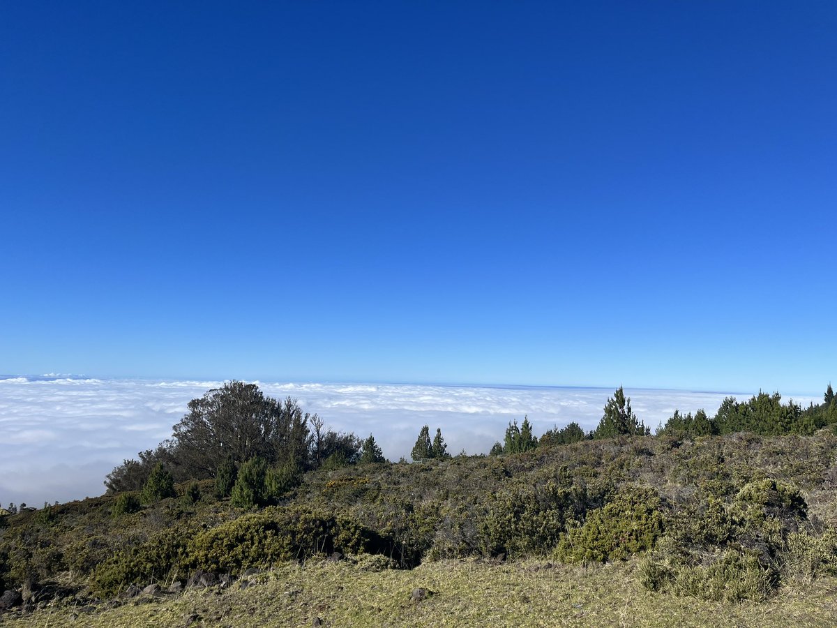CouleeOutdoors's tweet photo. After landing in Maui, we waited for our room to open up by visiting the Maui Ocean Center, before driving to the top of Haleakala for sunset above the clouds #hawaii #honeymoon #highalpine #mountain #volcano #sunset #clouds https://t.co/jS3Ep2eLXy