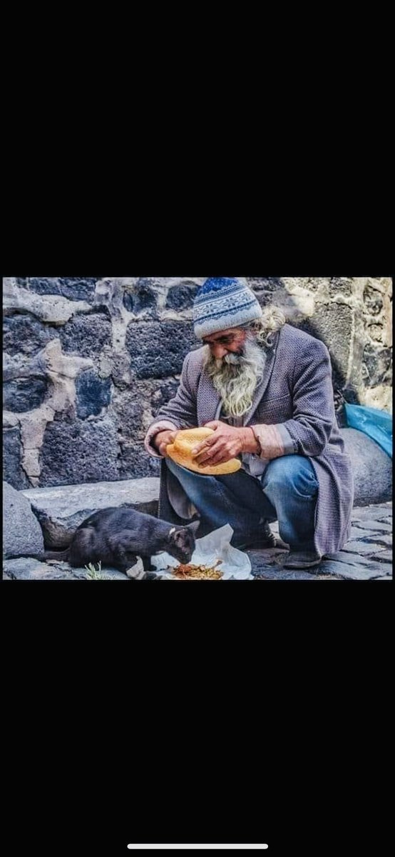 HasanKaderoglu's tweet photo. https://t.co/D9tfzSANZF